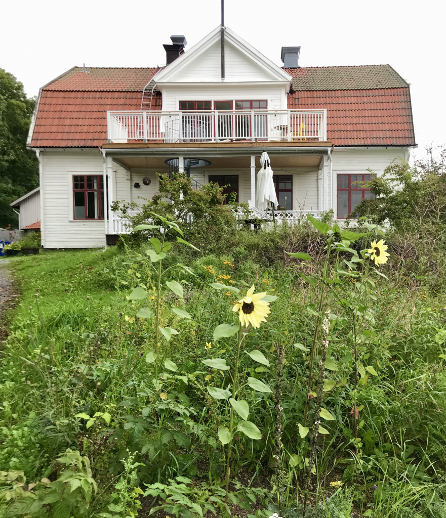 framsida matsal