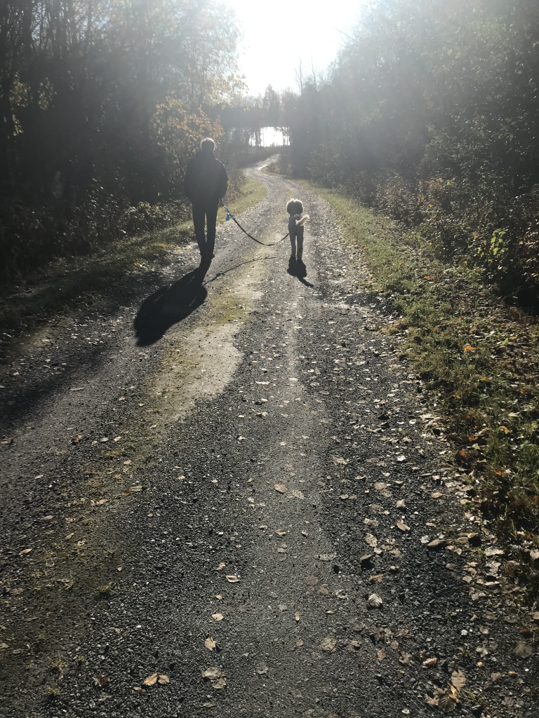 promenad
